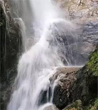 水里有两种微生物可以杀菌一种比细菌大叫什么？游戏画面